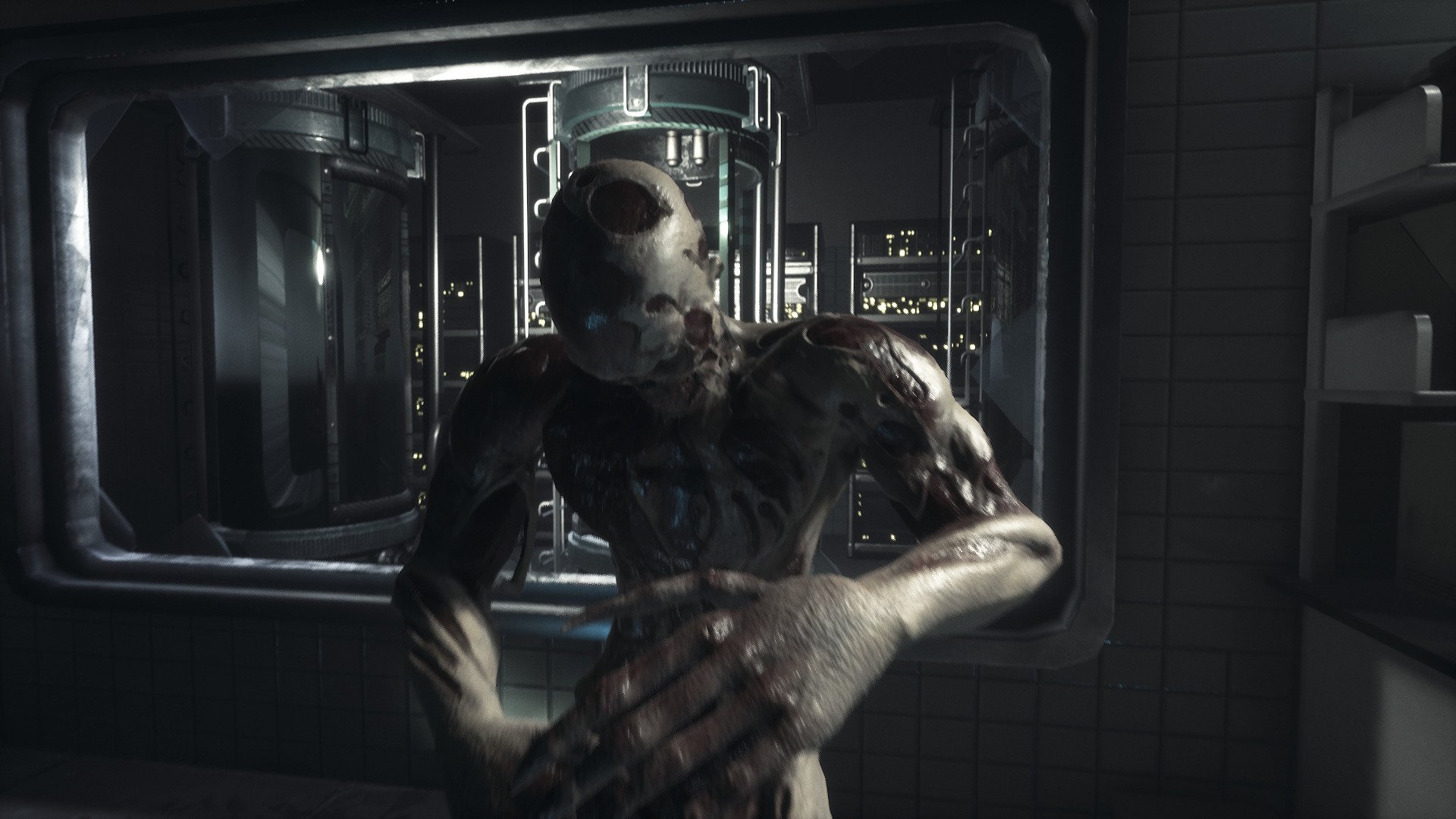 callus-10.jpg